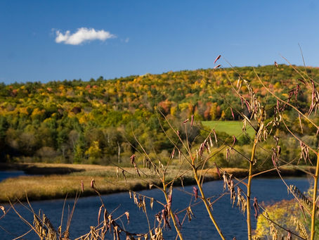THE VILLAGE OF HYDE PARK & AMERICAN RESCUE PLAN ACT