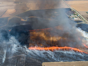 Wildfires Threaten Crops, Livestock And Rural Livelihoods