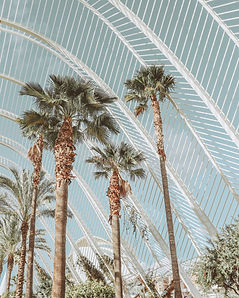 Image by Mónica Ballester