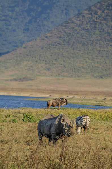 Image by Mwandwe Chileshe