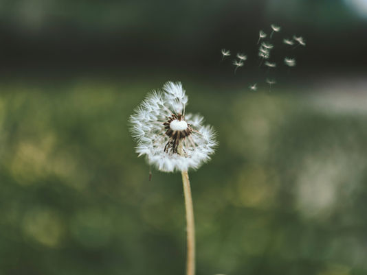가벼운 요실금이 주는 무거운 진실 – 혼자가 아닙니다, 숨기지 마세요