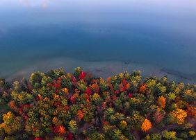 Image by Aaron Burden