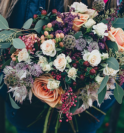 Image by Annie Spratt