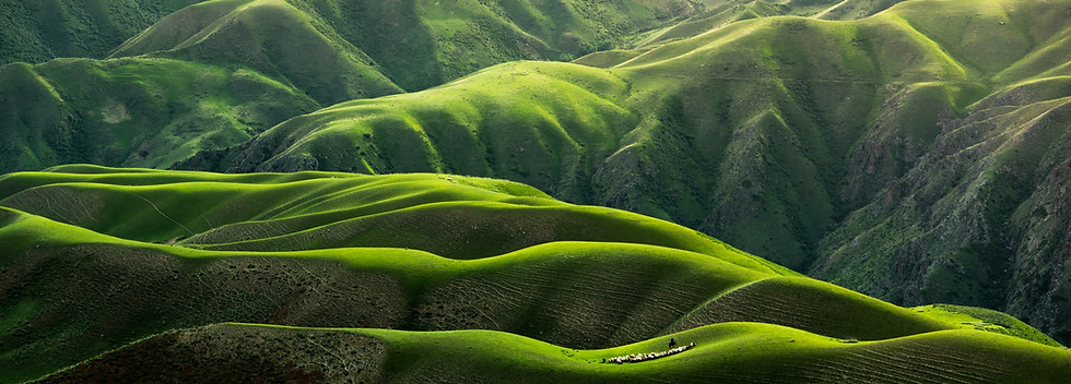 Image by Qingbao Meng