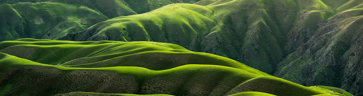 Image by Qingbao Meng