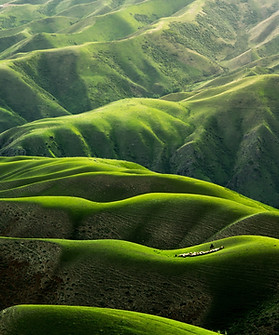 Image by Qingbao Meng