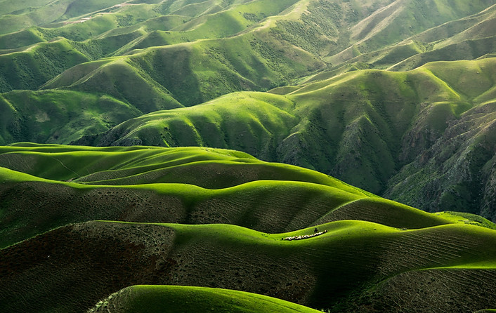 Image by Qingbao Meng