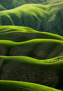 Image by Qingbao Meng