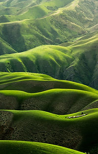 Image by Qingbao Meng
