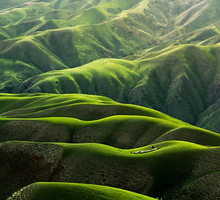 Image by Qingbao Meng