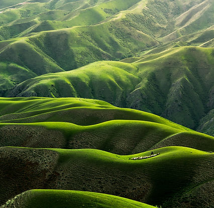 Image by Qingbao Meng