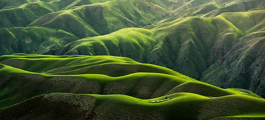 Image by Qingbao Meng