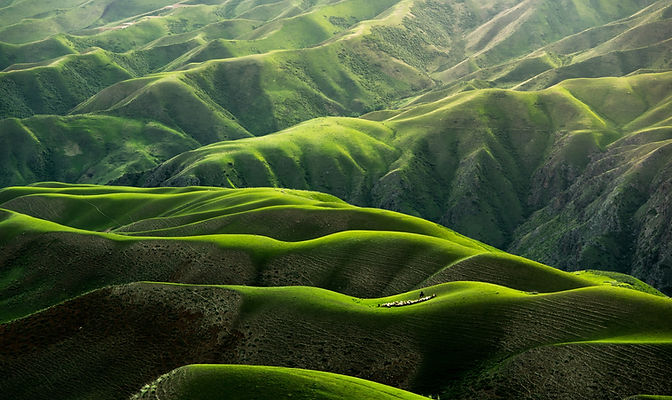 Image by Qingbao Meng