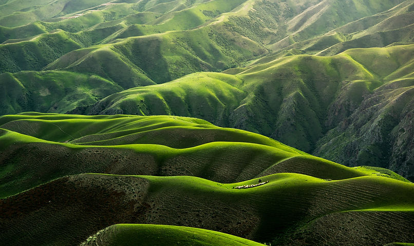 Image by Qingbao Meng