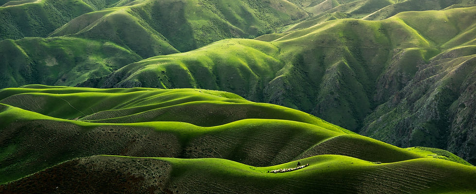 Image by Qingbao Meng