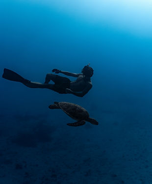 Image by James Packer