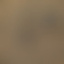 “Don’t let drought support dry out” – NSW Farmers