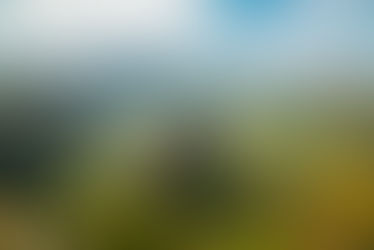 Part 3 The effectiveness of the African human rights system in responding to allegations of torture