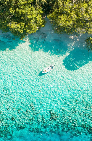Image by Ahmed Yaaniu