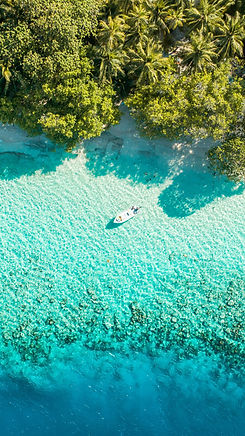 Image by Ahmed Yaaniu
