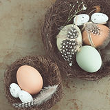 Hawthorn, Easter Decoration