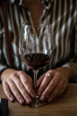 A person gently holding a wine glass filled with red wine during a BACCO tasting session.