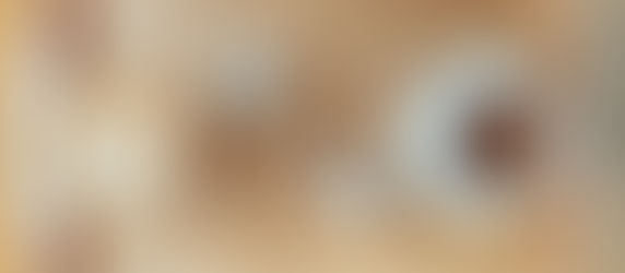 Dalende trend hypotheekrente zet door