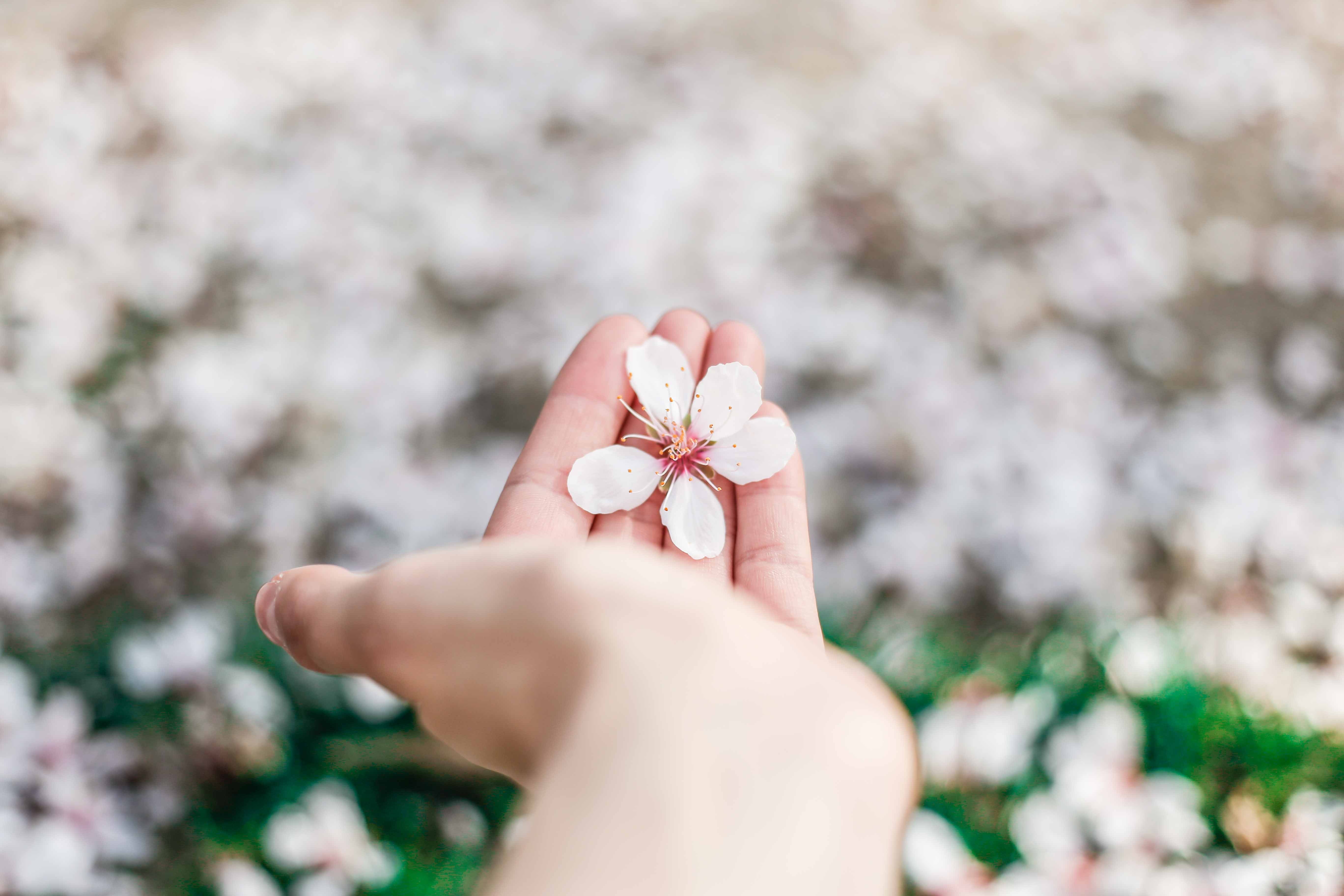 Image by ORNELLA BINNI