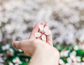 Image by ORNELLA BINNI