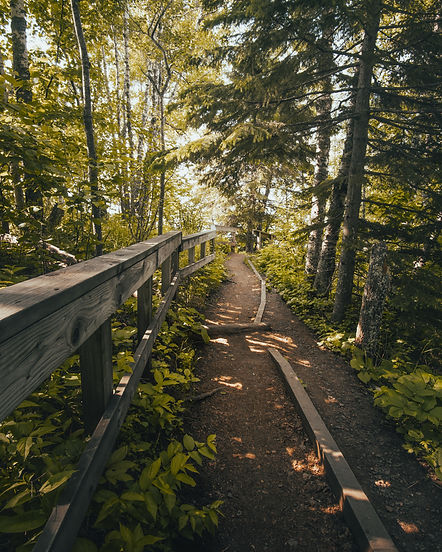 Image by Josh Hild