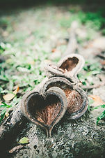 Image by Han-Hsing Tu