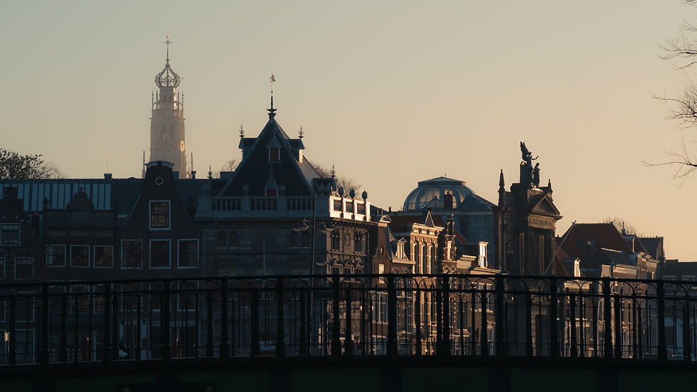 stadsgezicht haarlem