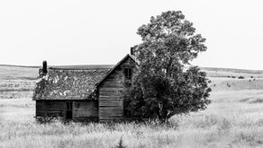 Filing a homestead declaration—or applying for a homestead exemption—can safeguard your family home from certain creditors, reduce property taxes, and provide security for your spouse and children. Because homestead laws vary widely, it’s essential to understand your state’s requirements and consult qualified professionals. Integrating a homestead declaration into your overall estate plan can give you peace of mind, knowing that your home is protected and that your loved ones will have a place to call home long after you’re gone.