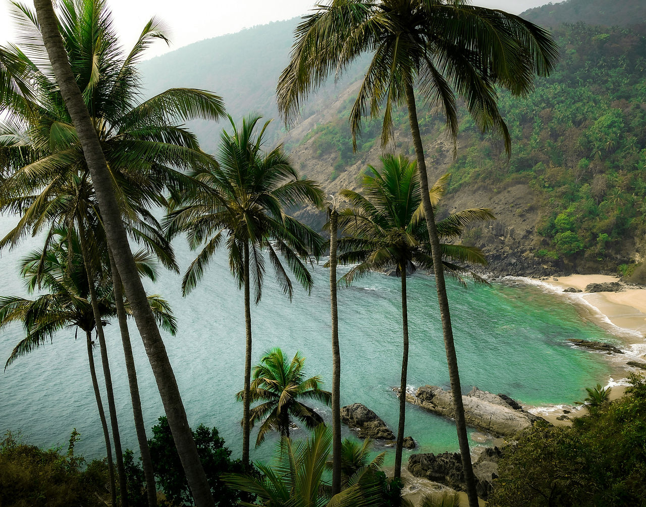 Image by Chirayu Sharma