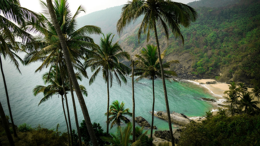 Image by Chirayu Sharma