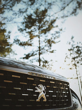 Peugeot Symbol