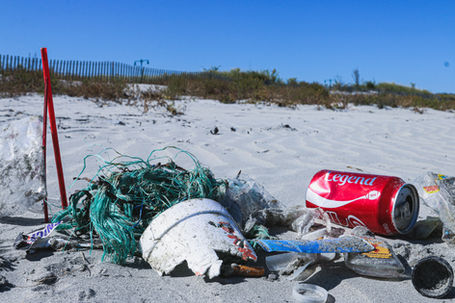 Where to do a Beach Cleanup in Santa Barbara