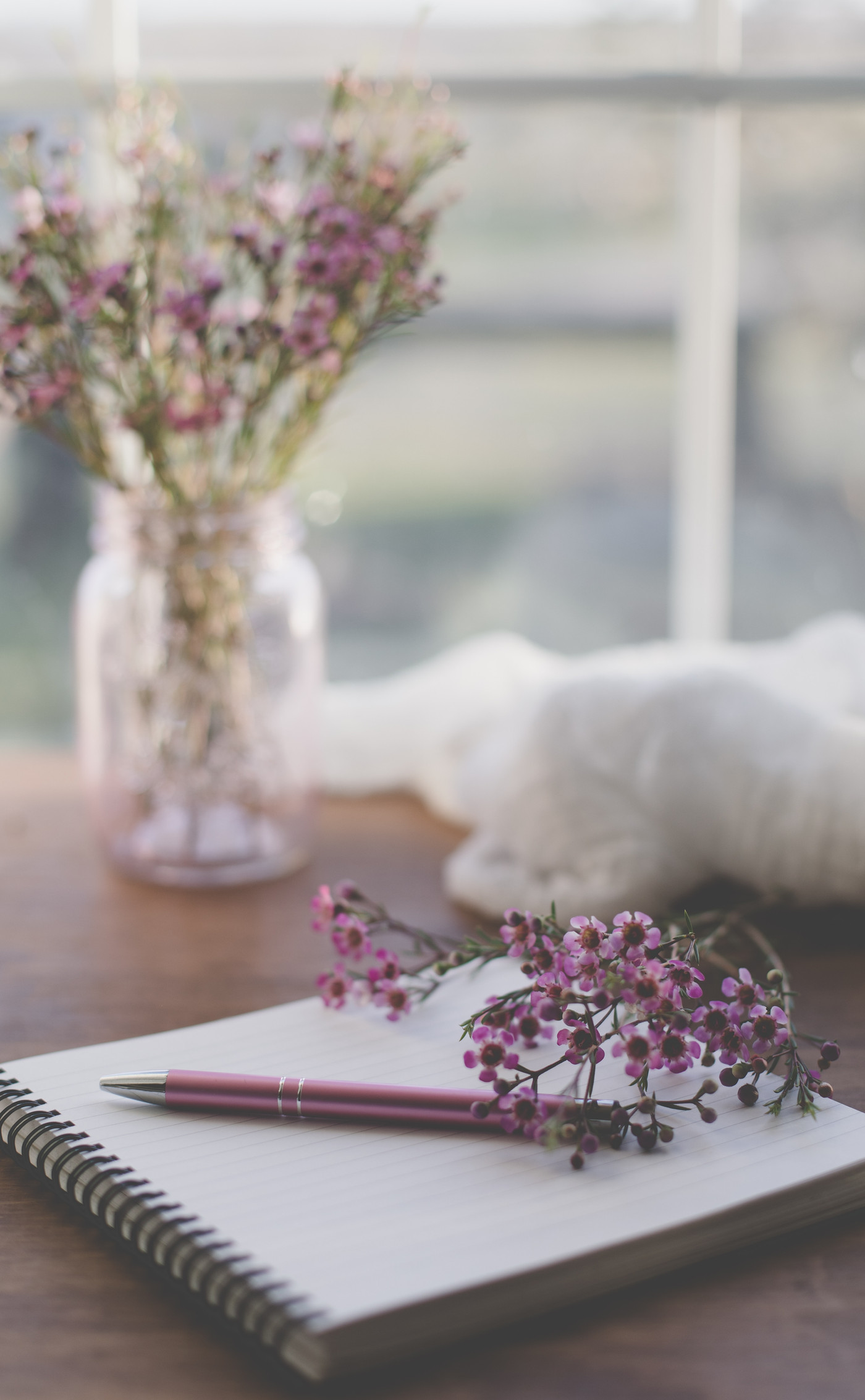 person journaling in nature