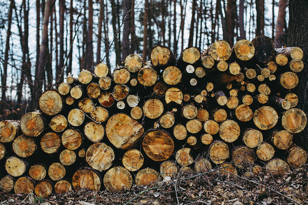 Image by Markus Spiske