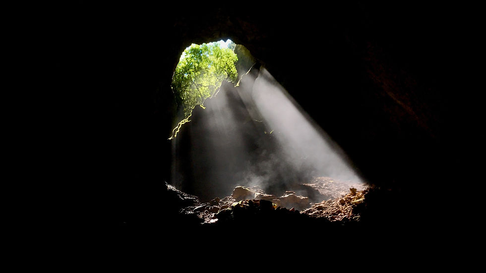 Sunlight streams into a dark cave, illuminating rocky ground and green trees outside through the opening.