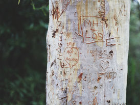 "Code Switch" Podcast - 'Where We Come From': By Any Other Name