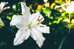 Image by Matt
