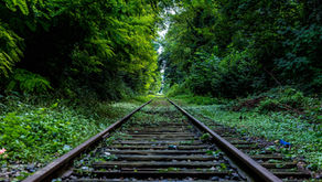 The Last Train Home