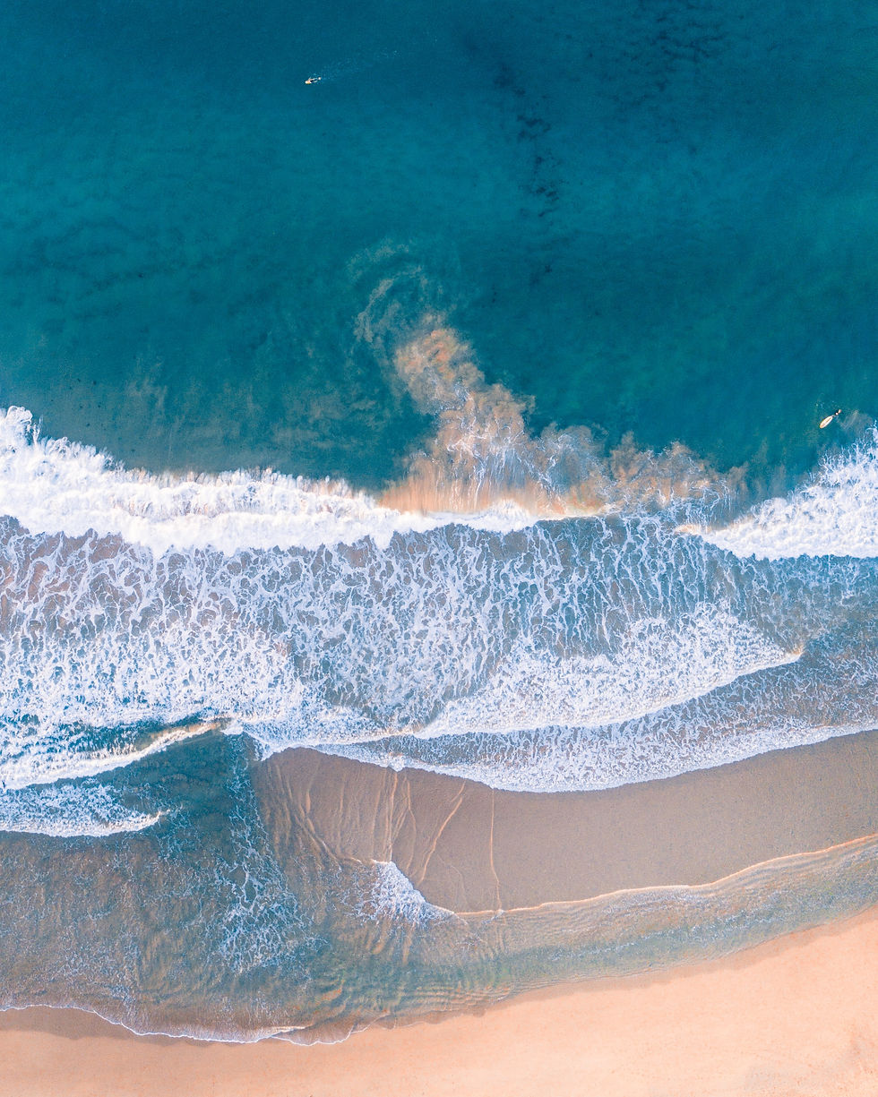 Image by Lachlan Dempsey