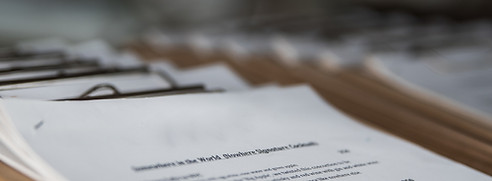 Consultancy Report