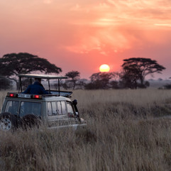 Sunset in the Masai MAra