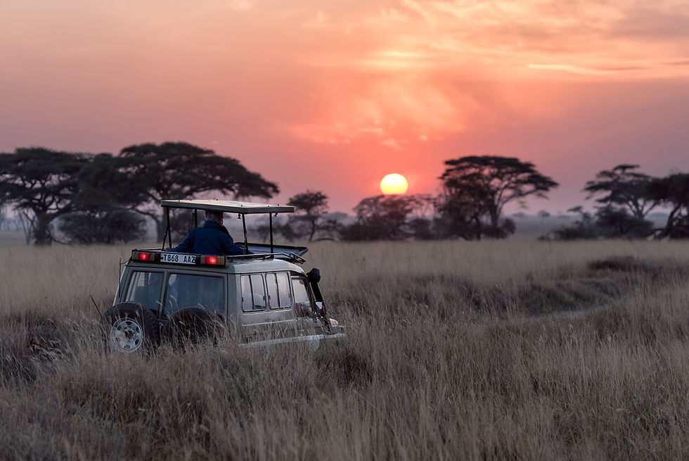 Serengeti