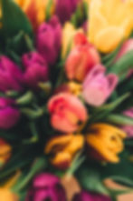 Springtime in Canada Concert
