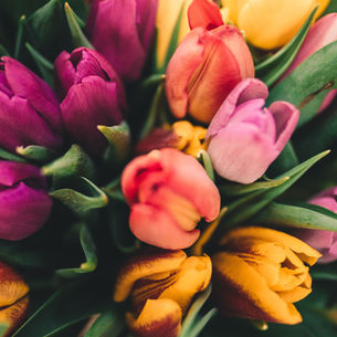 🌸 Spring Clean Your Self-Care Routine