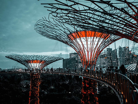 Image by Kent Lee